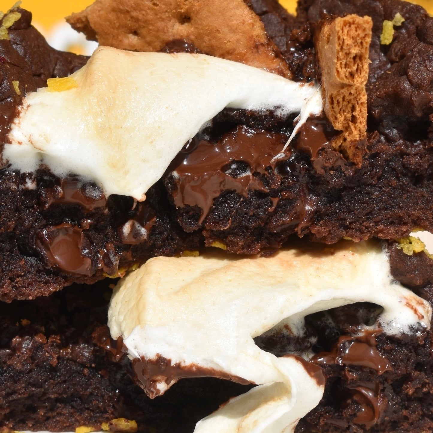 Campfire S’mores