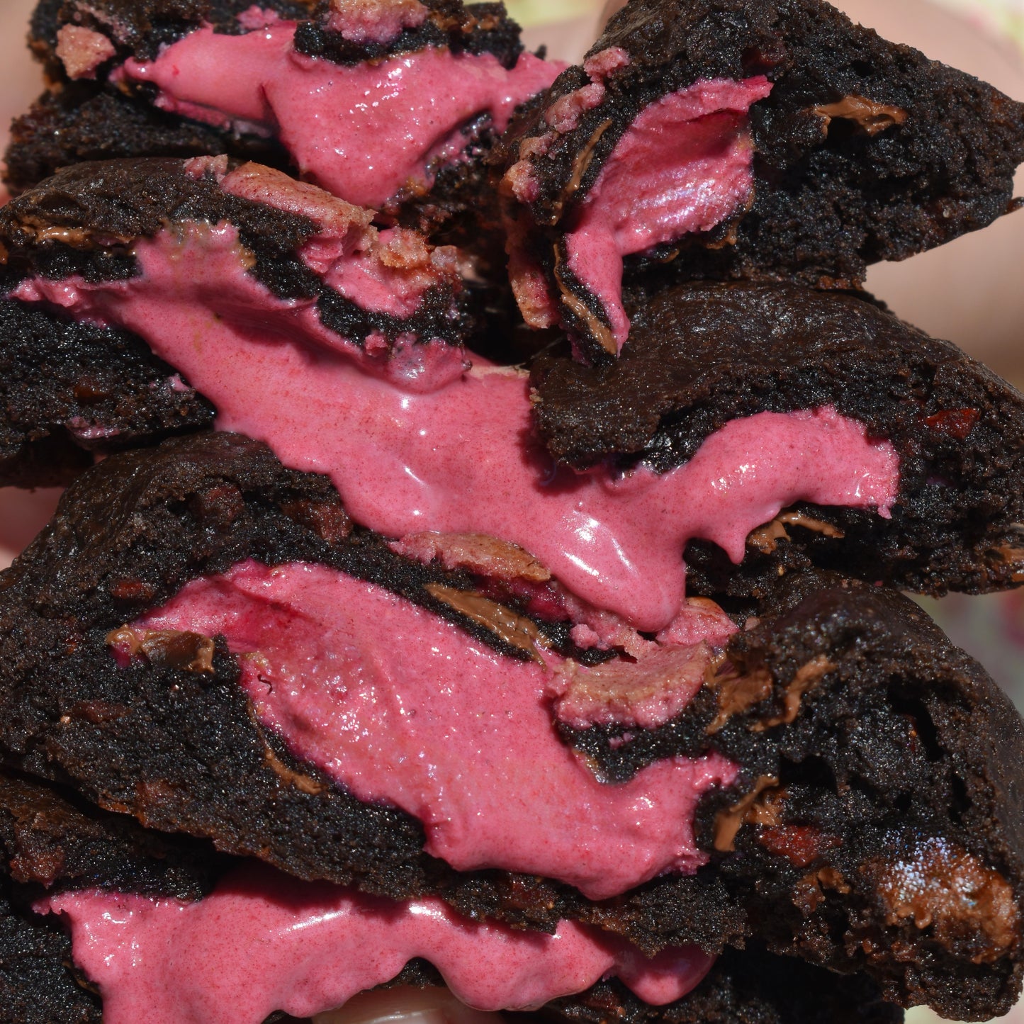 Seasonal Special - Raspberry Dark Chocolate