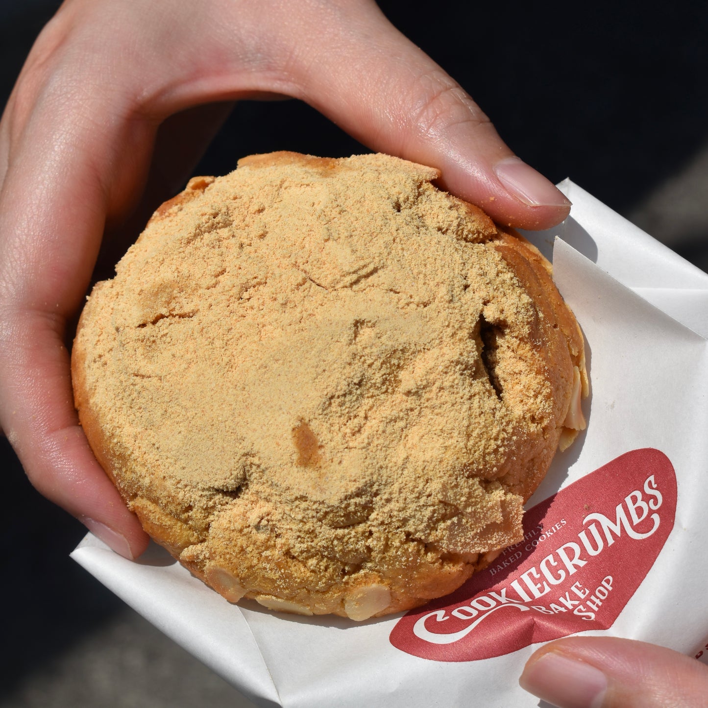 *SEASONAL SPECIAL* - Injeolmi (Roasted Soybean Mochi)