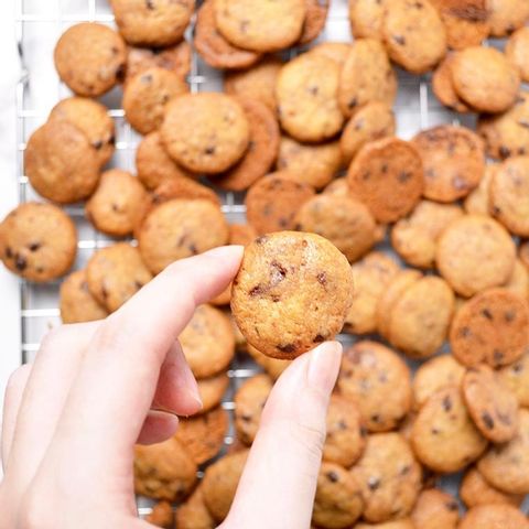 Crunchy Chocolate Chip Cookie Bites