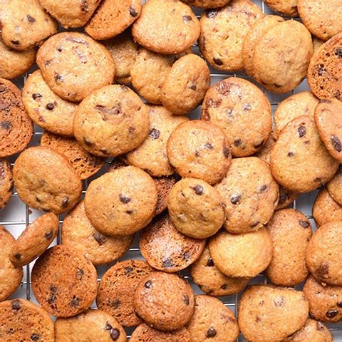 Crunchy Chocolate Chip Cookie Bites