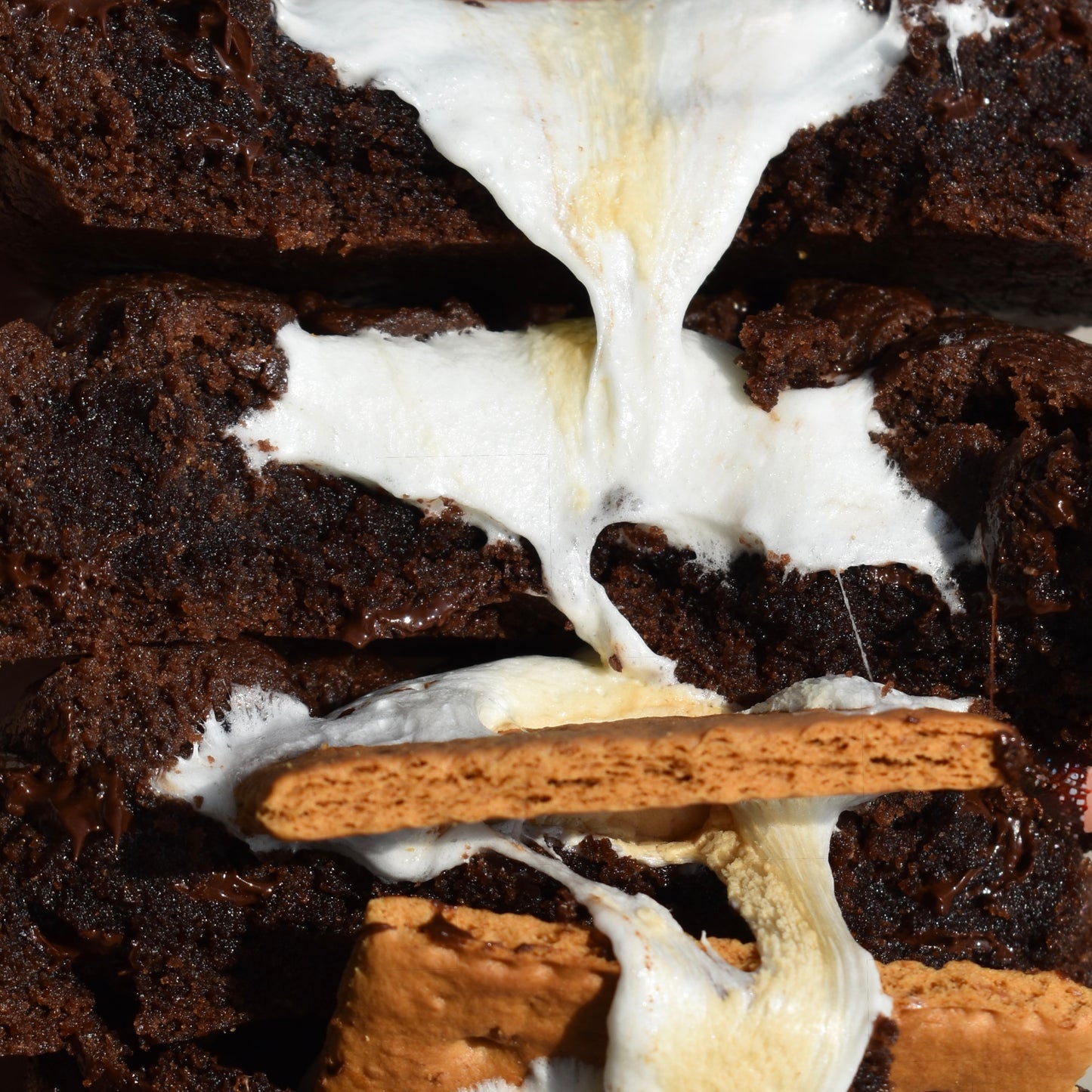 Campfire S’mores
