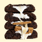 Campfire S’mores